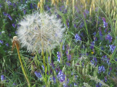 IMG-20220211-WA0015